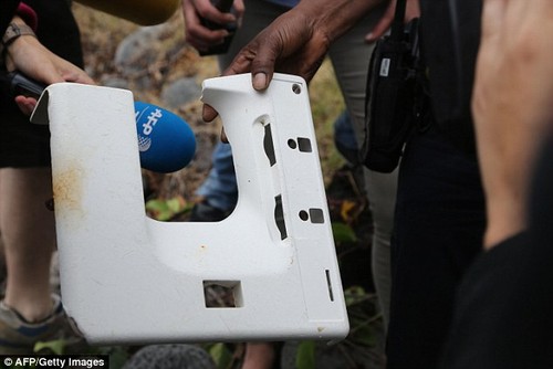 Possible MH370 debris found on Reunion Island - ảnh 2